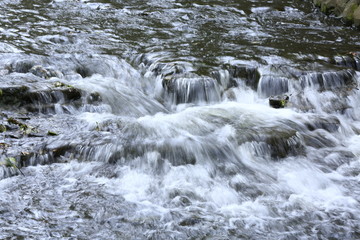 川の水面