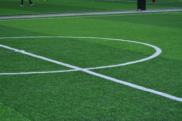 Fototapeta na wymiar Stadium of football or soccer field with green grass
