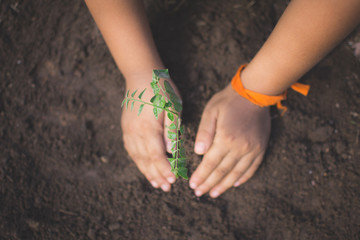 hand of children holding plant and soil with bokeh and nature background, save the world and World Environment Day concept at sunny day. subject is blurred