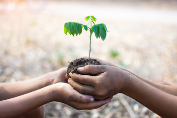 hand of children holding plant and soil with bokeh and nature background, save the world and World Environment Day concept at sunny day. subject is blurred
