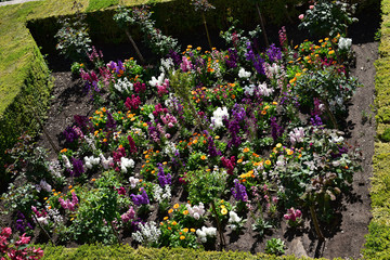 Flower garden in Granada, Spain