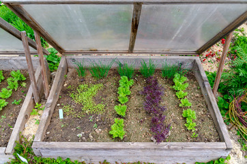 wooden cold frame