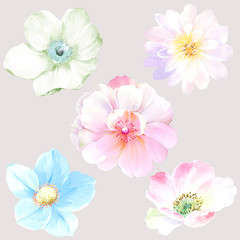 Fototapeta premium Flowers watercolor illustration