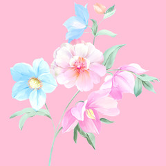 Naklejka na ściany i meble Flowers watercolor illustration
