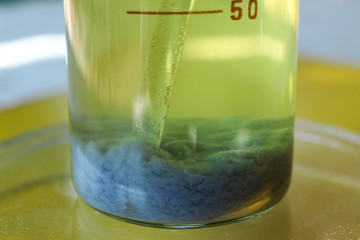 The blue precipitate of chromium carbonate settled at the bottom of the beaker. The substance is...