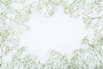 Obraz na płótnie Canvas Gypsophila flowers on white background