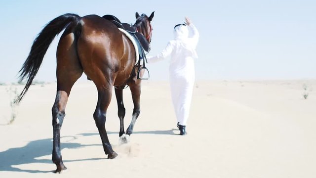 Man with his horse in Dubai, walking and riding in the desert