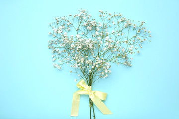 White gypsophila flowers with ribbon on blue background