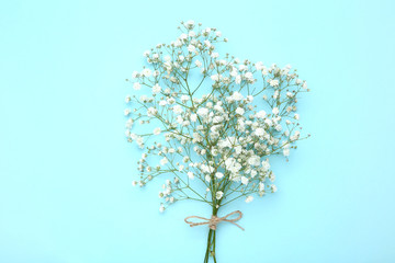 White gypsophila flowers on blue background