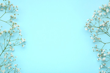 Obraz na płótnie Canvas White gypsophila flowers on blue background