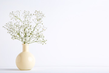 White gypsophila flowers in vase on grey background