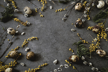 Easter background with easter eggs and spring flowers. Yellow eggs on gray background. Place for inscription. top view