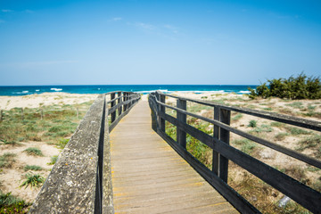 Fototapeta na wymiar wooden path to the beach