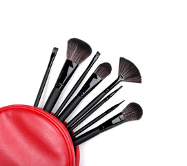 Makeup brushes in bag isolated on white background