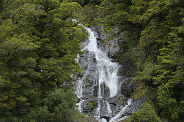 Fantail Falls New Zealand