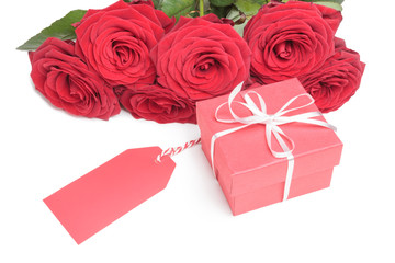Red roses along with red gift box with blank card for copy isolated on white background