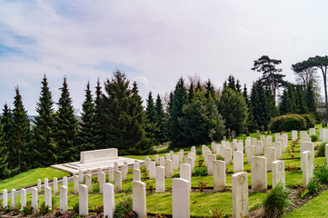 Naklejka premium WW1 War Graves, Hastings Cemetery