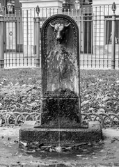 Drinking fountain in the center of Turin in the autumn