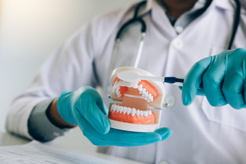 Close up hand dentists are demonstrating how to brush their teeth correctly.