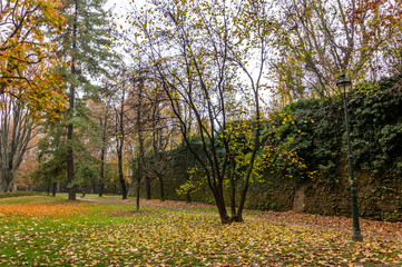 Park in the center of Turin in the autumn