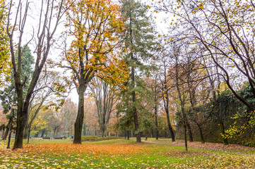 Park in the center of Turin in the autumn
