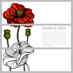Set of vector horizontal banners with hand drawn red poppies on white background.