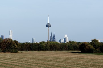 Obraz premium panoramic view of cologne