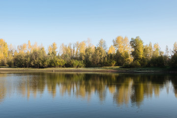 Fototapeta na wymiar Autumn. Golden lake