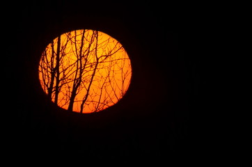 Our Sun in Berlin, Germany 