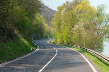 kurvige Landstraße im Wald
