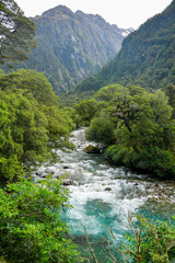 Hollyford River New Zealand