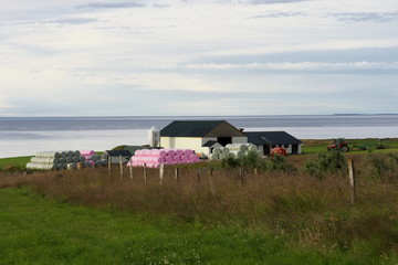 barn in field in Iceland