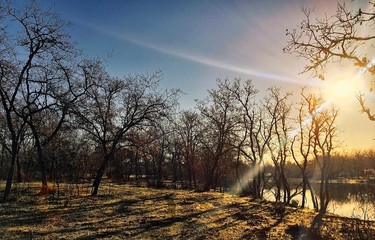 sol de invierno