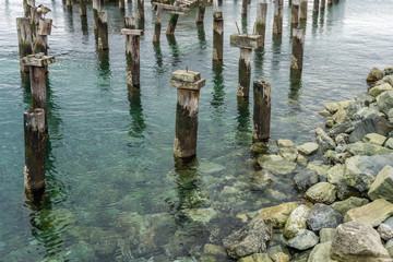 Decaying Pilings Landscape 7