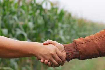Two man farmer shaking hands on corn leaves.