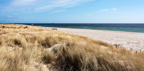 Gras D&uuml;ne Strand Ostsee