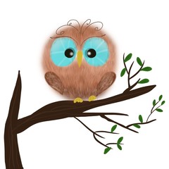 Fluffy Owl on A Tree Branch. - 262056709