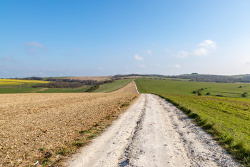 Fototapeta na wymiar A chalk pathway over Balmer Down in Sussex, on a sunny spring morning