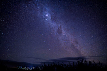 Fototapeta na wymiar Milky way Monkey Island Beach New Zealand
