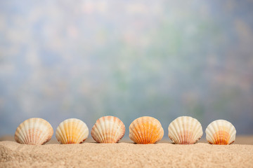 Sea Shell Border Below OOF Sky With Copy Space