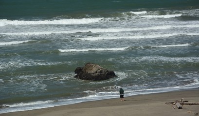 View of the Pacific Coast at Goat Rock Beach, on Highway 1 between Bodega Bay and Jenner in Sonoma...