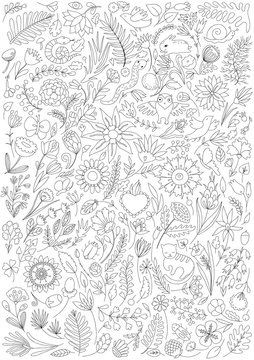 coloring page with small elements of flora and fauna