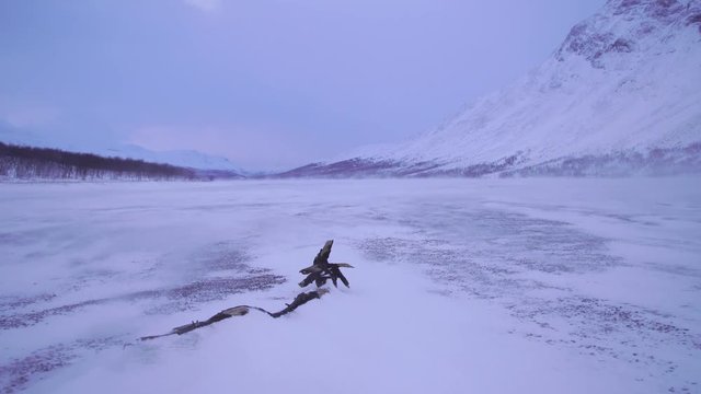 Severe winter weather at a frozen river in national park Sarek. Lapland, Sweden.