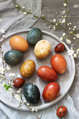 Fototapeta na wymiar Easter eggs dyed with natural dyes, cabbage, chamomile, hibiscus and onion peel.