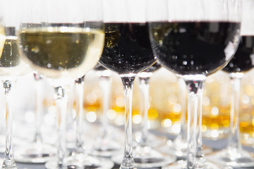 Glasses with white and red wine close-up. Party in cafe.