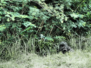 A sniper team in operation