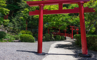 Traditional, red Torii and entrance path to japanese Jigoku Meguri Shinto Shrine between a green landscape. In Beppu, Oita Prefecture, Japan, Asia.