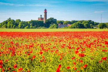 Kap Arkona lighthouse with red poppy flowers in summer, Rügen, Ostsee, Germany