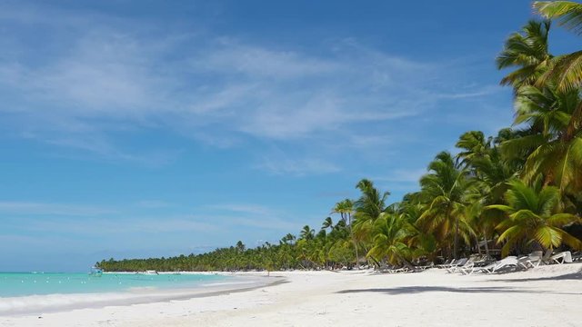 White sand beach at Dominican Republic. Idyllic palm trees island and turquoise Caribbean sea water. Summer trip to destination landscape vacation. Paradise shore outdoors. Amazing beach background