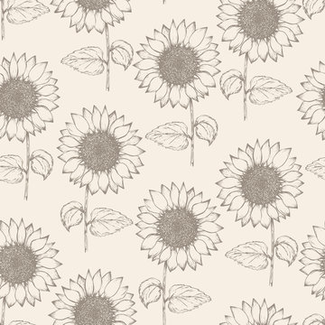 Retro seamless pattern with outline ink pen sunflower sketch on tender beige background. Brown hand drawn illustration of beautiful sun flower, texture for textile, wrapping paper, surface